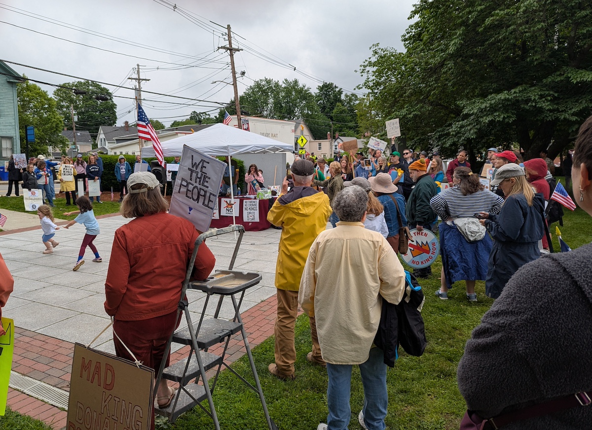 A Crowd gathered in the park with many carrying signs, the most prominents sign saying "no kings"